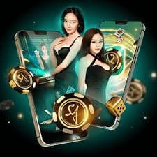 mibox88
